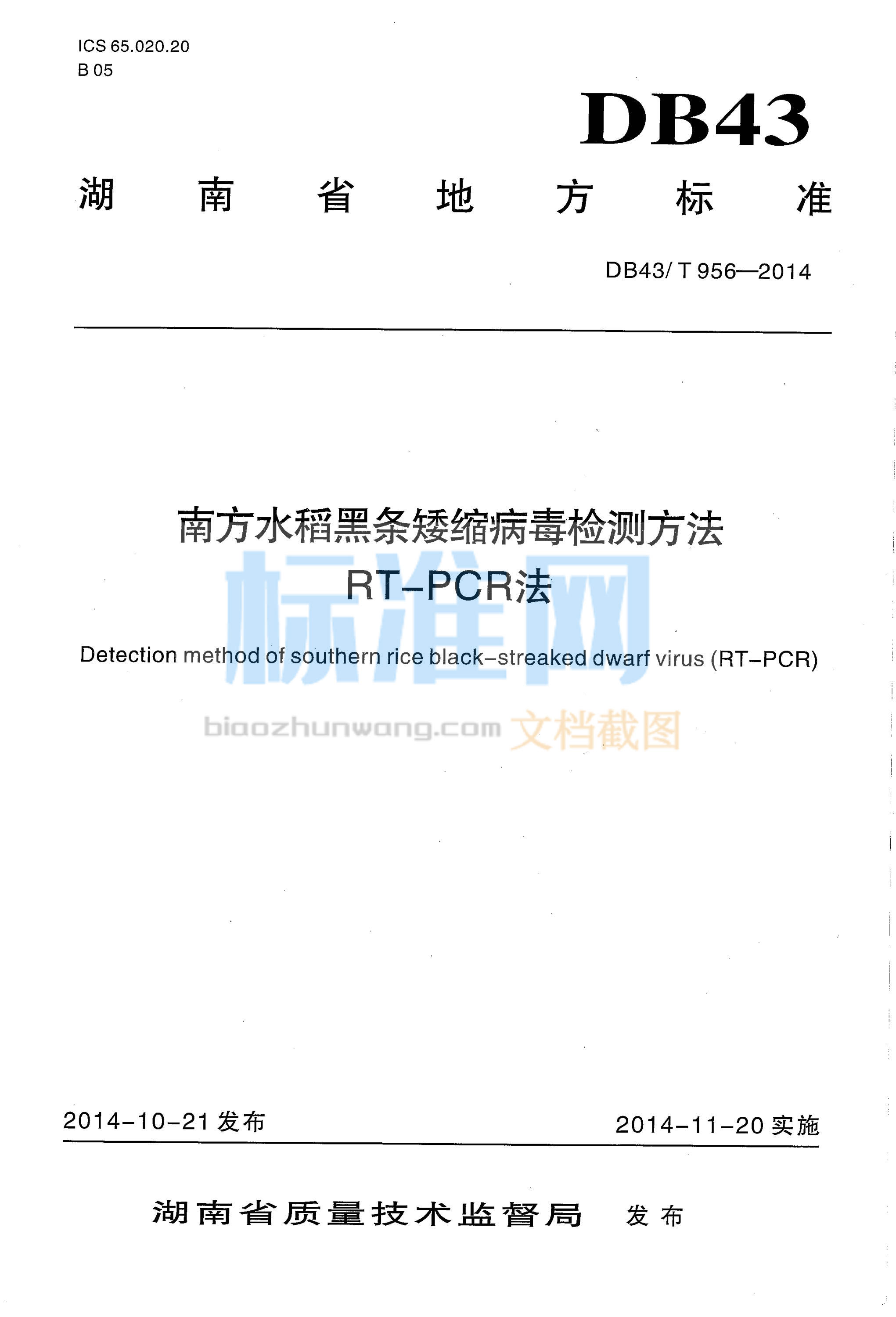 DB43∕T 956-2014 南方水稻黑条矮缩病毒检测方法RT-PCR法